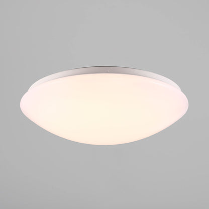 Ask 36 LED Bathroom Ceiling Light