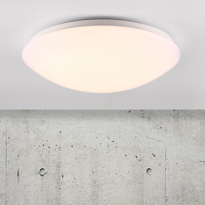 Ask 36 LED Bathroom Ceiling Light