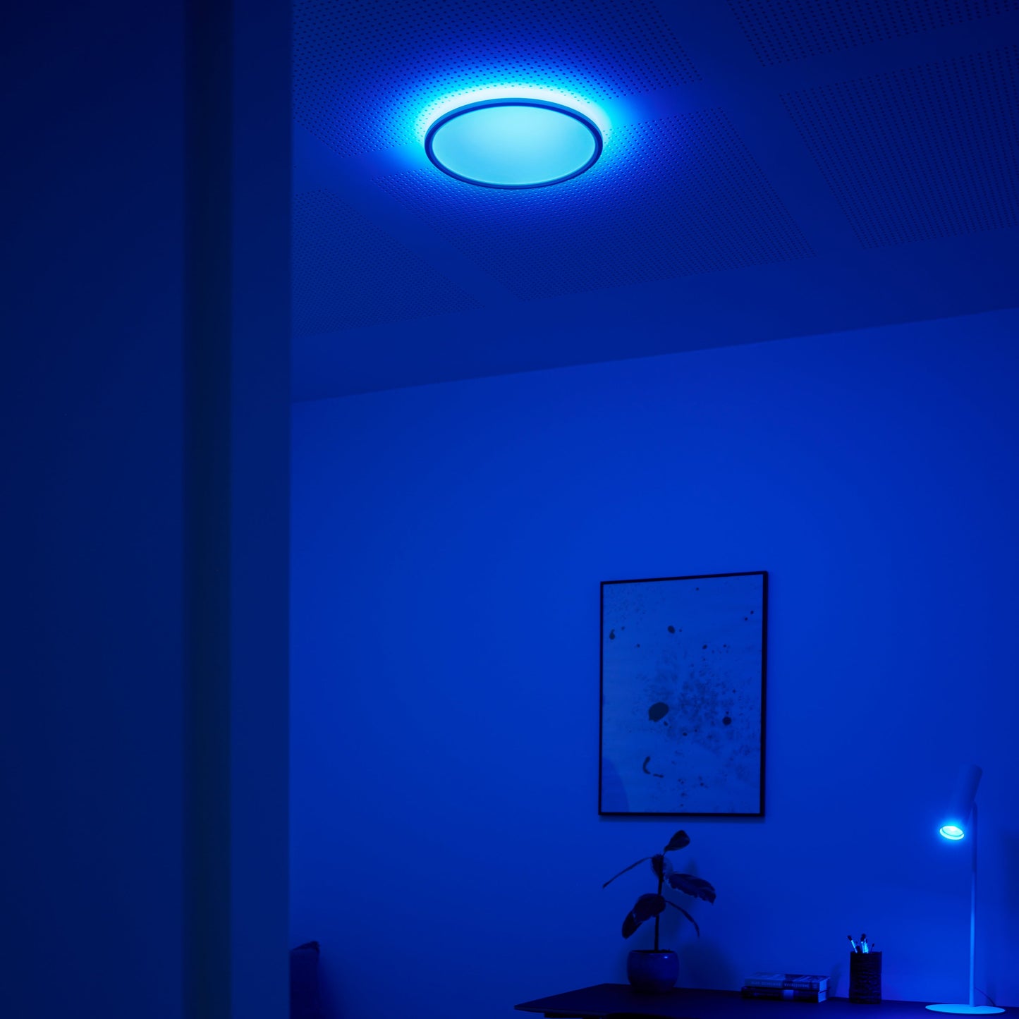 Liva Smart RGB Colour Ceiling Light