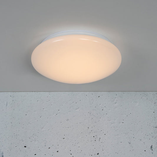 Montone 25 LED Ceiling Light